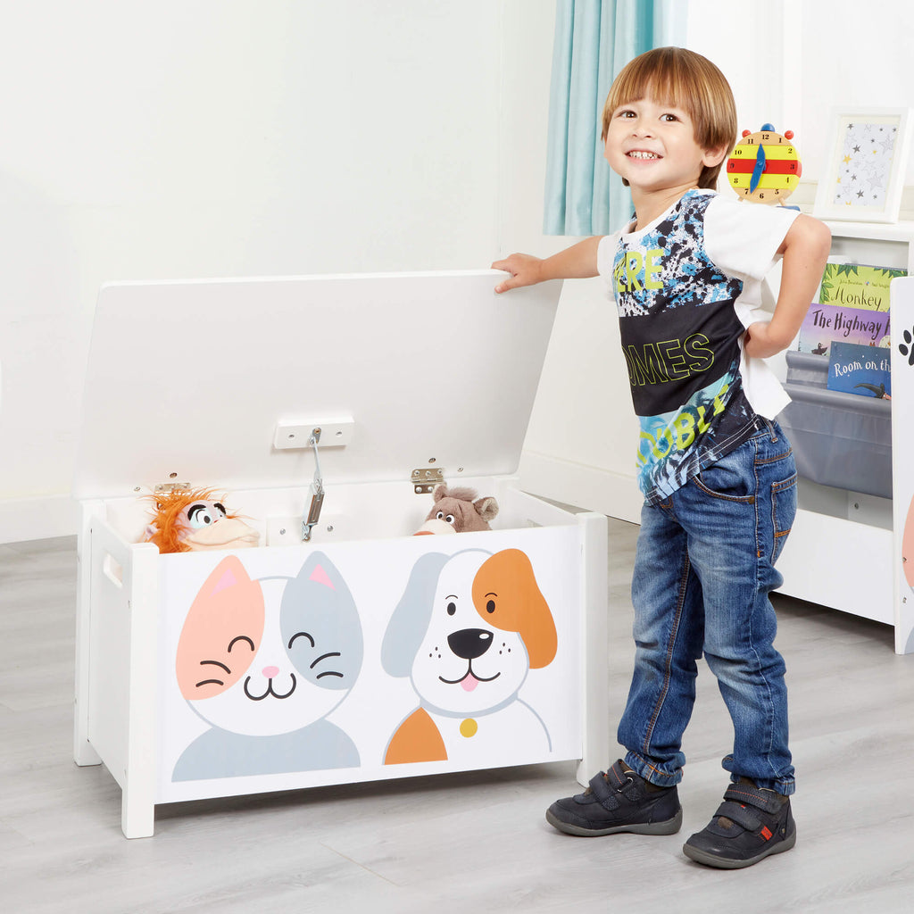 TFLH025CD-cat-and-dog-toy-box-lifestyle-stan-5